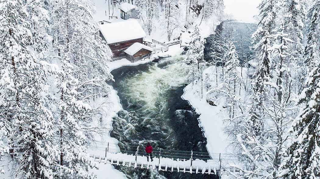 Talvinen maisema Oulangan kansallispuistosta. Keskellä kuohuva koski ja silta, ympärillä lumista metsää. Sillalla on retkeilijä.