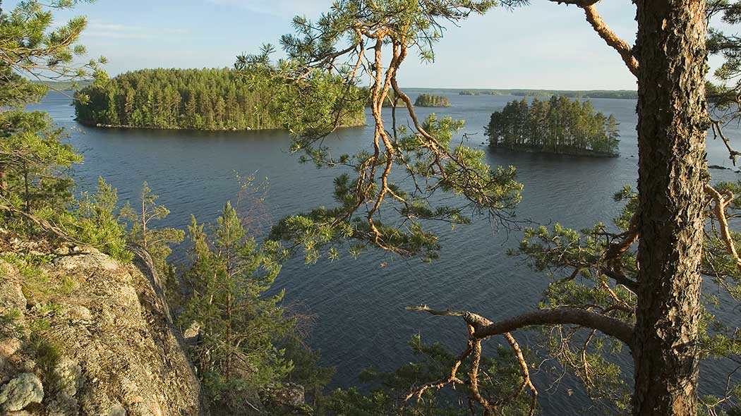 Sommarlandskap med en sjö och öar med träd.