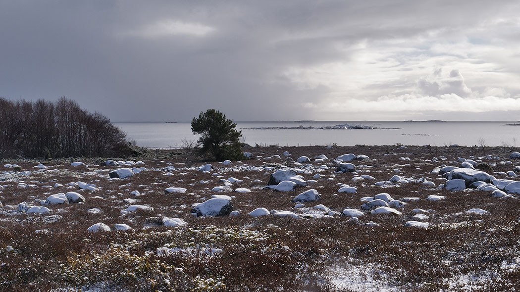 Kevättalvinen saaristomaisema. Soraikkoa, jossa myös joitakin isompia, osin isompia kiviä kevyesti lumipeitteisenä. Vasemmalla reunalla pieni metsikkö. Taustalla tyyni meri. Kuva: Laura Lehtonen.