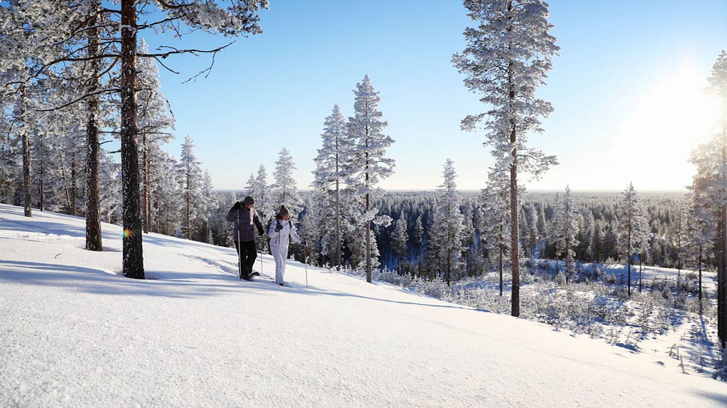 Kaksi hiihtäjää vaaran päällä lumisessa maisemassa. Aurinko paistaa.