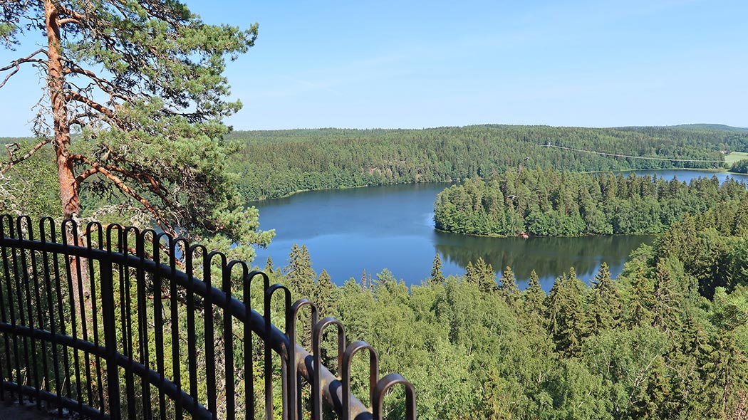 A view of the forest and lake landscape.