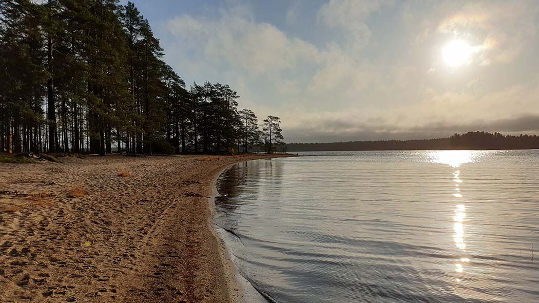 A lake and a sandy beach. There is forest in the background. The sun is reflecting off the water surface.