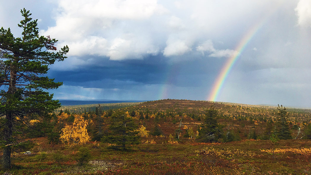 En regnbåge kan ses på himlen i höstens fjälllandskap.