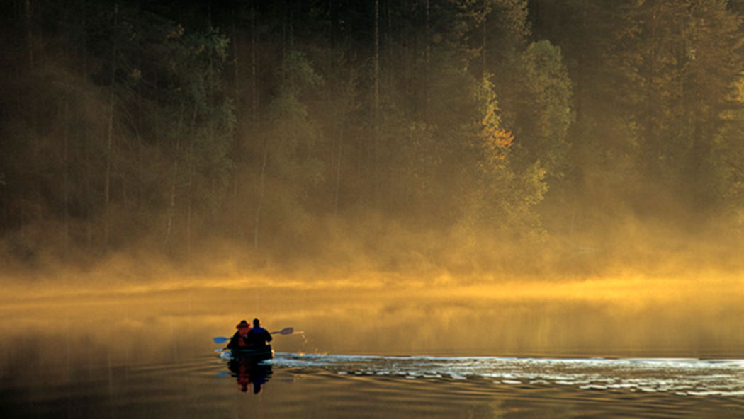 Två personer paddlar på en sjö.