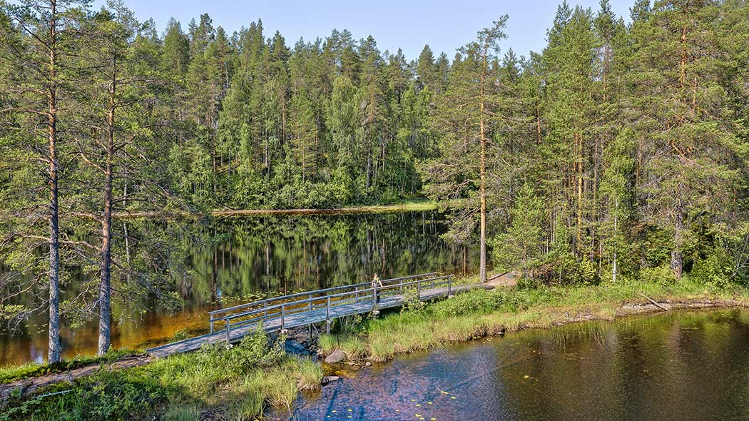 Kahden lammen välissä on kannas, jossa on puinen silta. Sillalla seisoo retkeilijä. Lampien ympärillä on metsää.