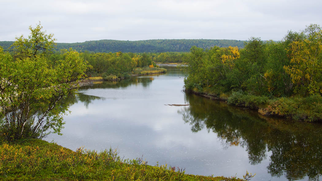 En lugn flod slingrar sig i mitten, björkar på stränderna, några redan i höstens färger.