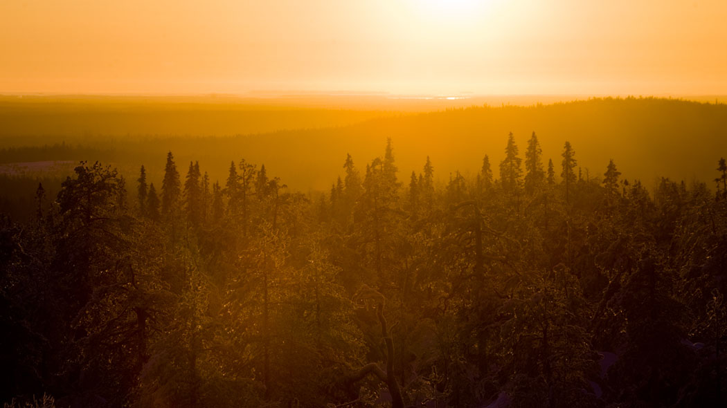 Ett varmt gulorange färgat ljus tränger genom den dimmiga skogen. Fjällryggarna framträds mot solskenet och en sjö kan ses precis där land och himmel möts.