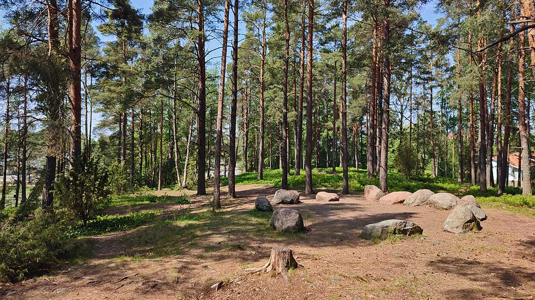 Metsässä monta isoa kiveä vierekkäin muodostavat kivikehän.