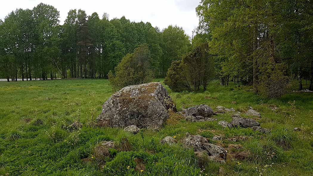 Niityllä kiviröykkiön ympäröimä suuri kivi. Taustalla katajia ja lehtimetsää, jonka takana häämöttää järvi. Päivääniemi. Kuva: Tanja Tenhunen.