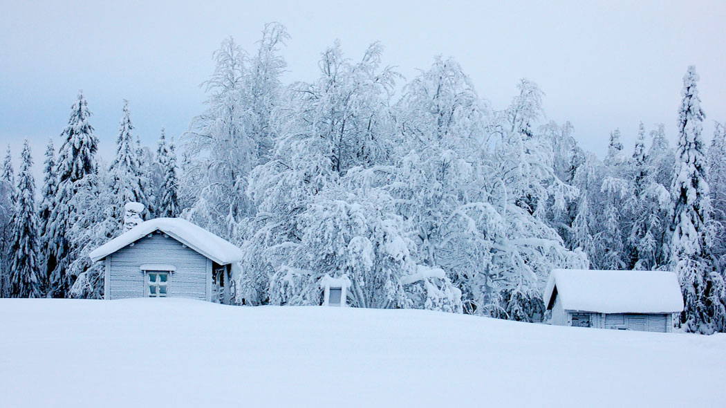 Lumisessa talvimaisemassa kaksi rakennusta. Pihapiirin takana puustoa, jonka oksistossa lunta.