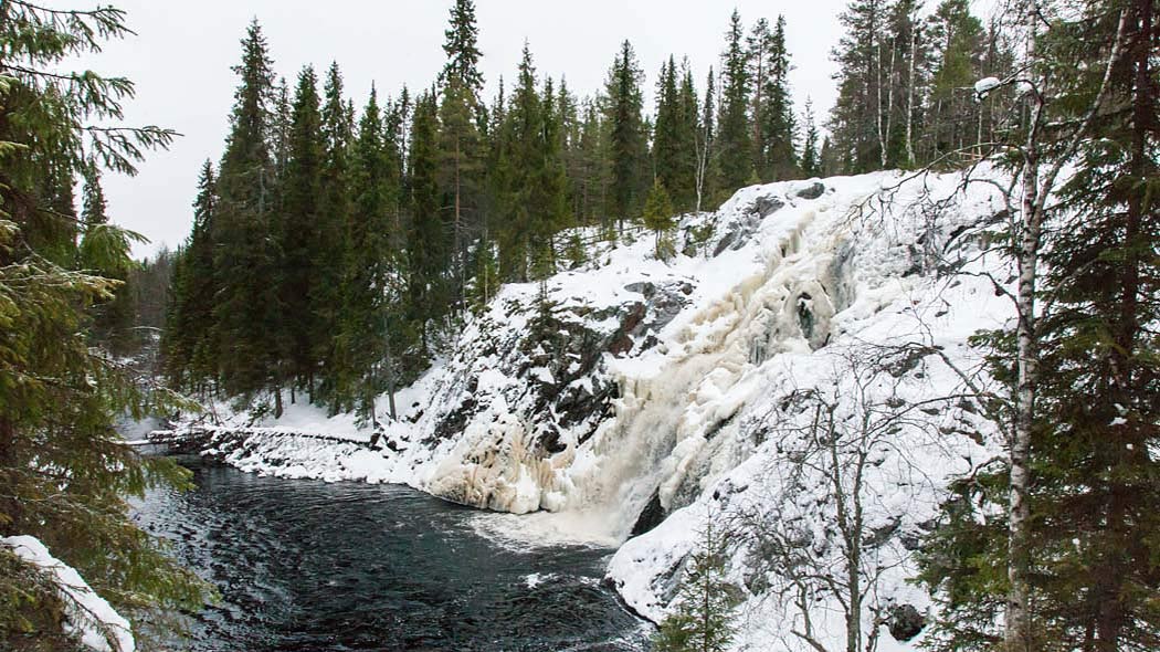 Ett högt vattenfall leder ned till älven i den vintriga skogen.