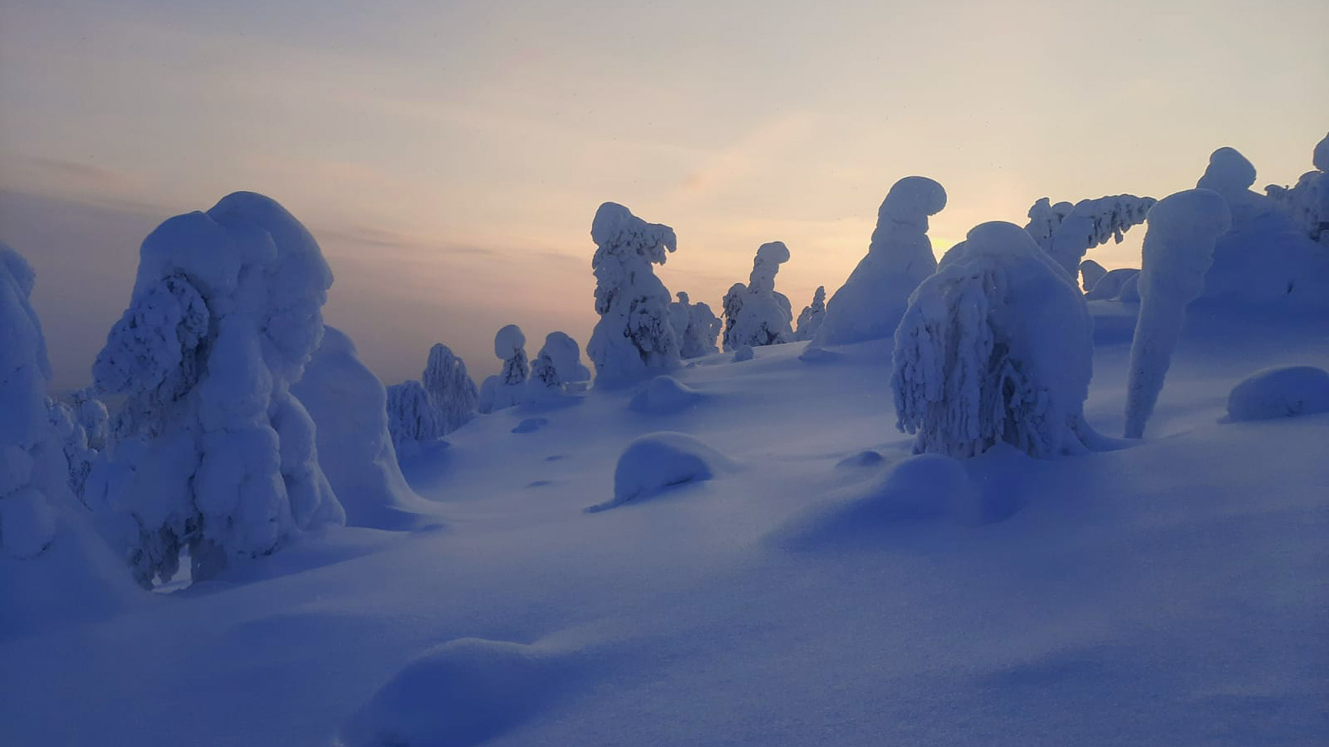 Bilden tagen från toppen av kullen visar träd täckta av snö.