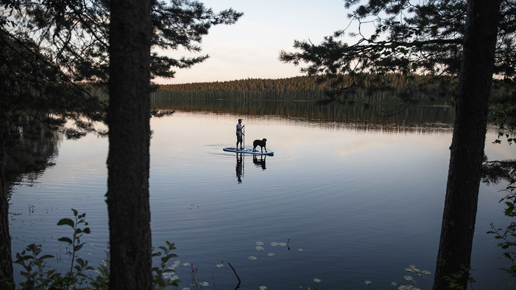 Ihminen ja koira suppailemassa tyynellä järvellä kesäiltana.