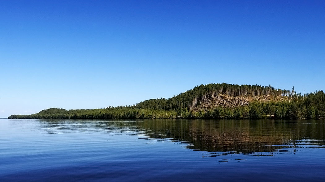 Rauhallinen järvi, taustalla korkea saari ja sininen pilvetön taivas. Saaren poikki menee kaatuneiden puiden vana.