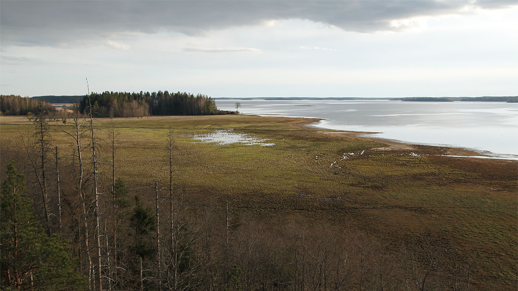 Mietoisvikens strandlandskap på hösten.