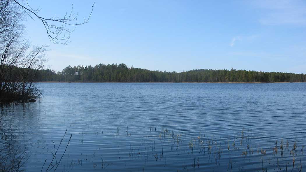 Järvimaisema, taustalla havumetsää ja sininen taivas. Vasemmassa laidassa lehdettömiä puita. Pääjärvi. Kuva: Outi Mäenpää.