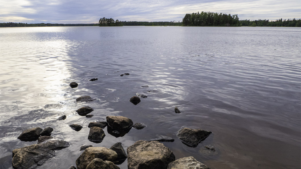 Pinkjärven rantakivikkoa, vastarannalla metsää. Kesäinen Pinkjärvi. Kuva: Tuija Warén.