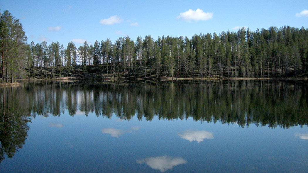En liten sjö med klart vatten mitt bland de skogbeklädda åsarna.
