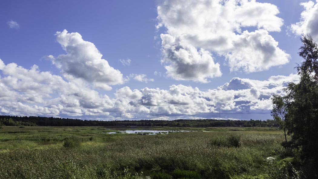 Avoin niittymaisema aurinkoisena päivänä. Taivaalla pilviä. Näkymä Pohjoislahdelle. Kuva: Tuija Warén.