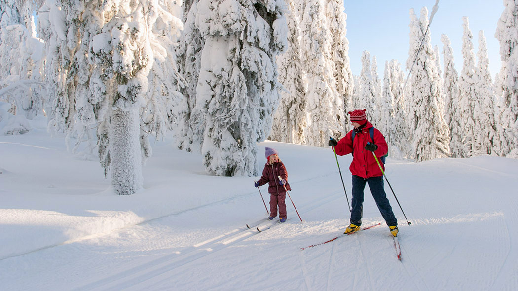 Aikuinen ja lapsi hiihtävät ladulla keskellä lumista metsää.