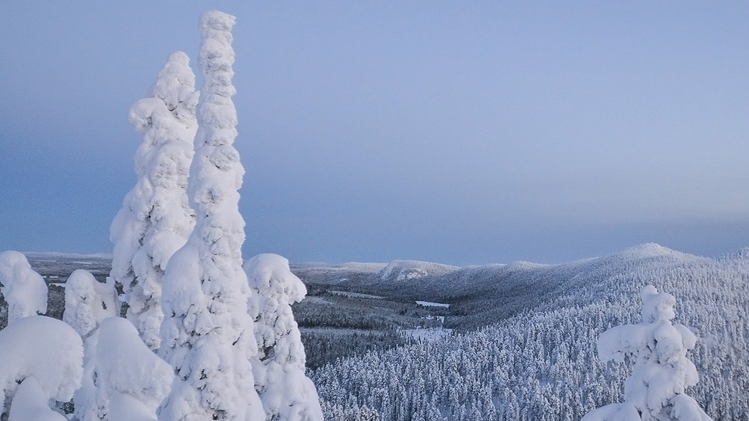 Landskap av snöiga skogklädda kullar.