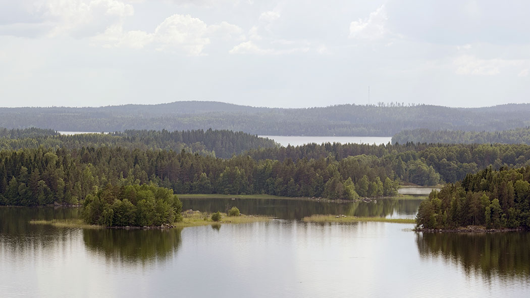 Kesäinen järvi- ja metsämaisema.