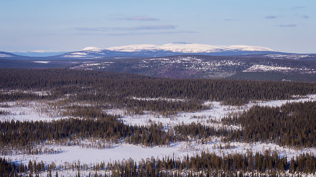 Kuvassa näkyy talvista tunturi- ja metsämaisemaa. Kuva on otettu korkealta.