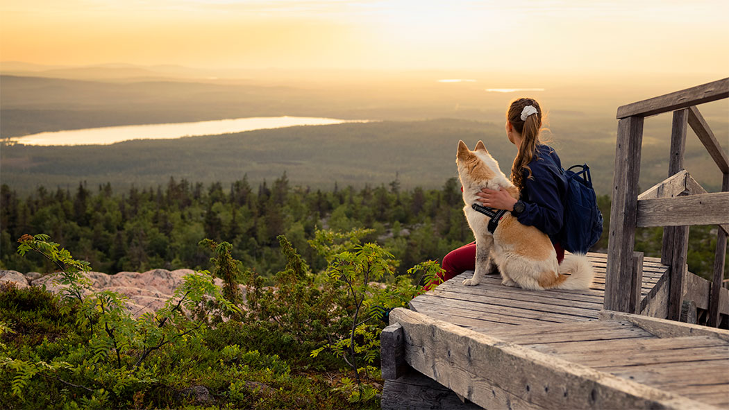 En person med en hund sitter i förgrunden och tittar på det soliga landskapet i bakgrunden.