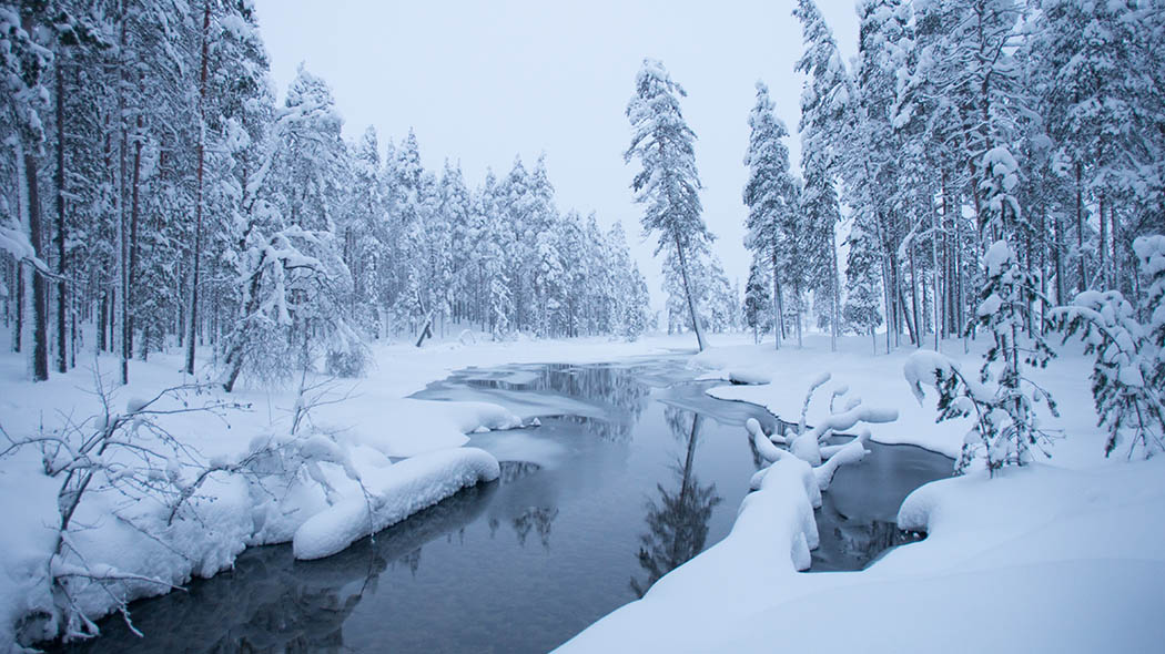 Talvinen luminen maisema, jonka halkoo sulana virtaava puro.